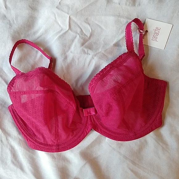 Panache Other - Panache Fontaine Plunge bra, size 34G